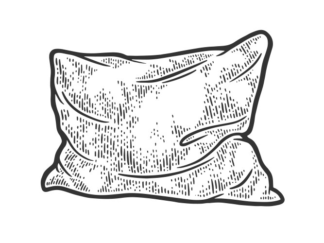 Rumpled Pillow Sketch Vector Image