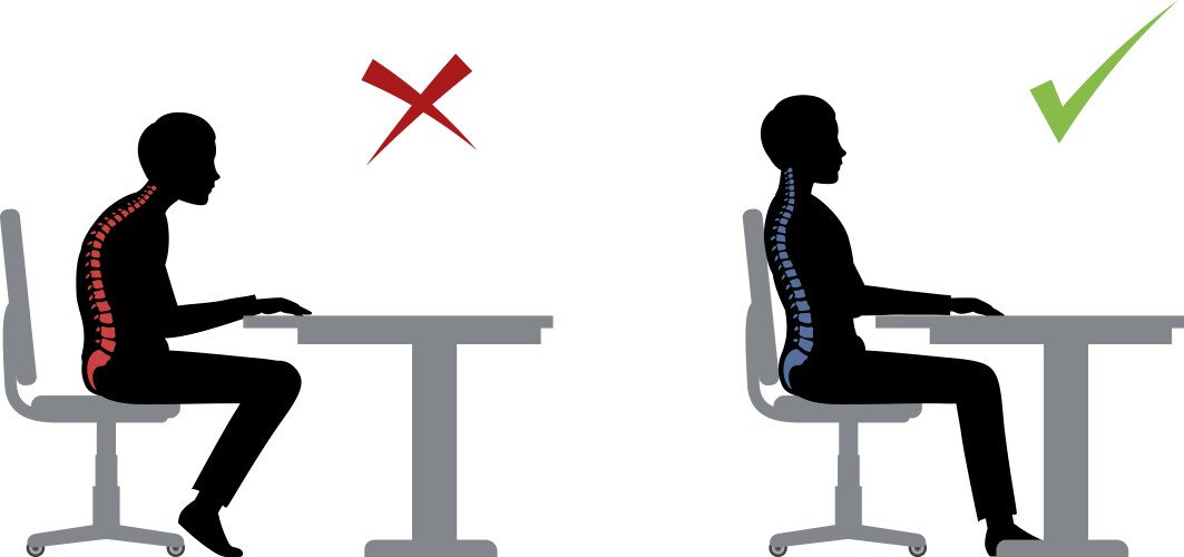 Ergonomic Sitting Posture: Correct vs. Incorrect – Royalty-Free Vector ...