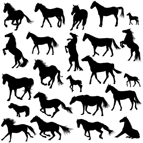 Silhouettes of horses Vector Image