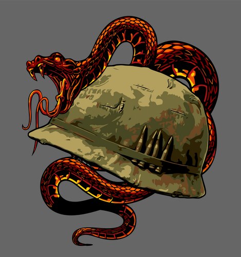 Army helmet wrapped in snake Vector Image
