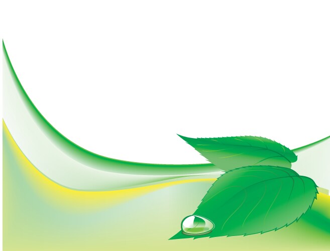 Green label with leaves Royalty Free Vector Image