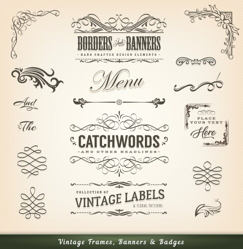 Calligraphic elements vintage ornament set Vector Image