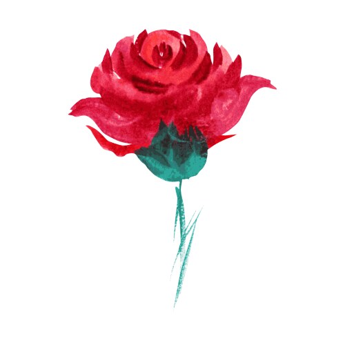 Rose Royalty Free Vector Image - VectorStock