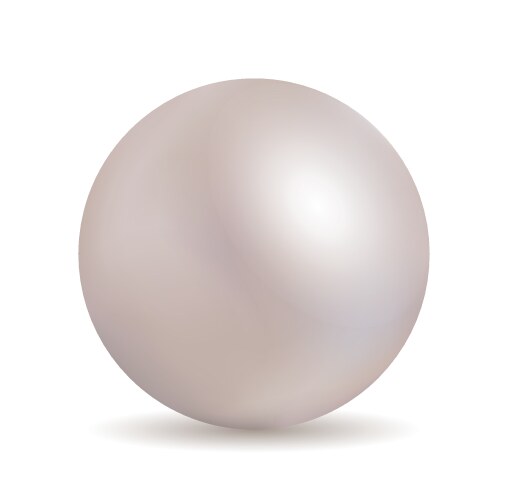 White pearl silver sphere shiny jewel vector image