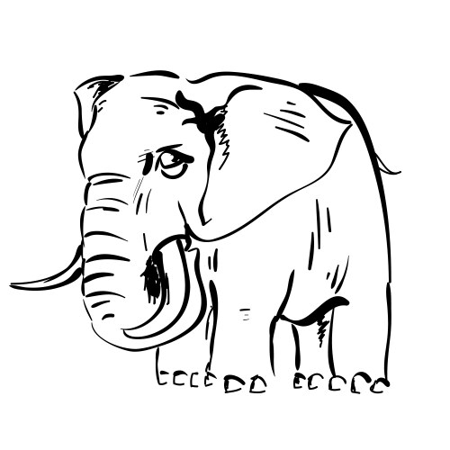 Big and small elephants cartoon on white Vector Image