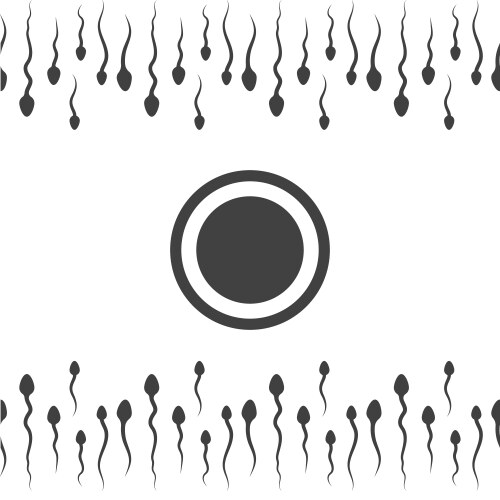 Human Reproduction Icon Set – Royalty-Free Vector | VectorStock