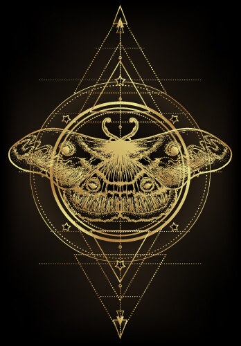 Golden Moth Sacred Geometry Vector Image