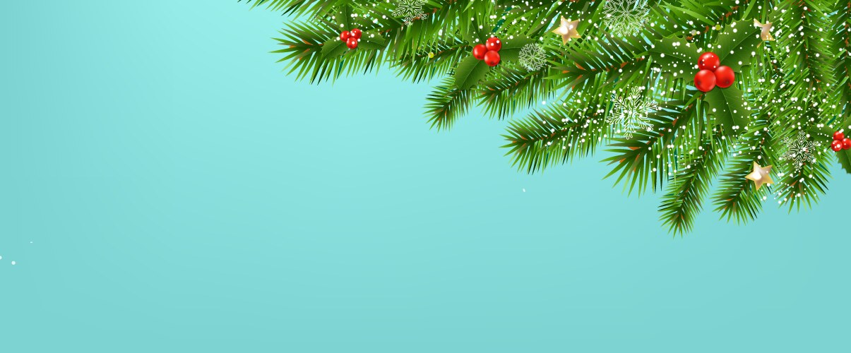 Fir tree bolder with holly berry Royalty Free Vector Image