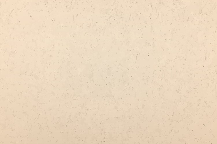 Beige Kraft Paper Texture Vector Image