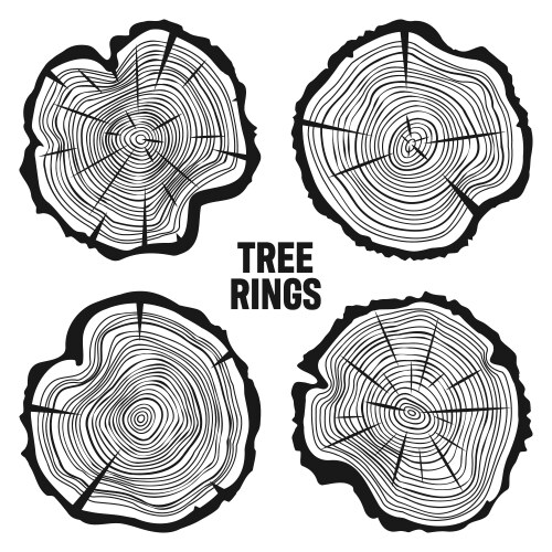 Tree ring background saw cut trunk logo Royalty Free Vector