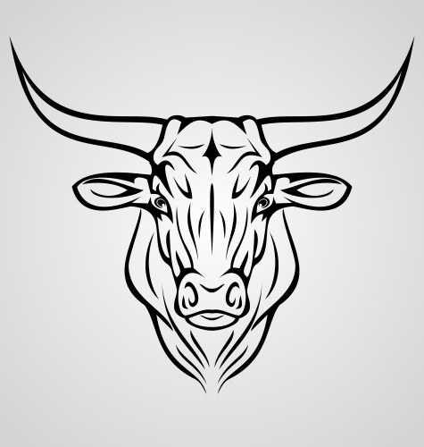 Bull Head Tattoo Design Vector Image