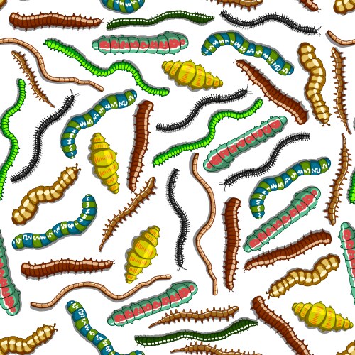 Caterpillar with numbers colorful Royalty Free Vector Image
