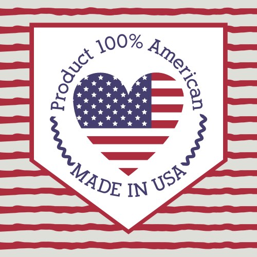 Usa emblematic seal design Vector Image