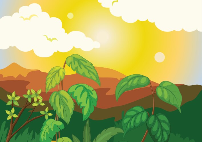 sunrise vector image