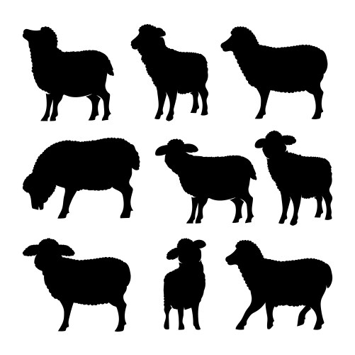 Sheep silhouette set collection isolated Vector Image