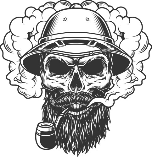 Skull in smoke cloud Vector Image
