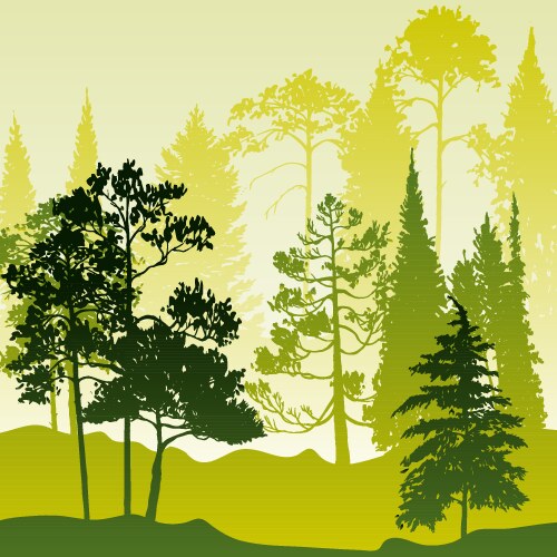 Landscapes with pine trees Royalty Free Vector Image