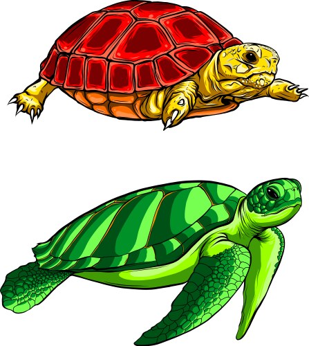 Slow Turtle Cartoon Poster A Cartoon Turtle Playing A Slow, Melodic