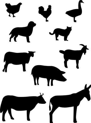 Farm animals Vector Image