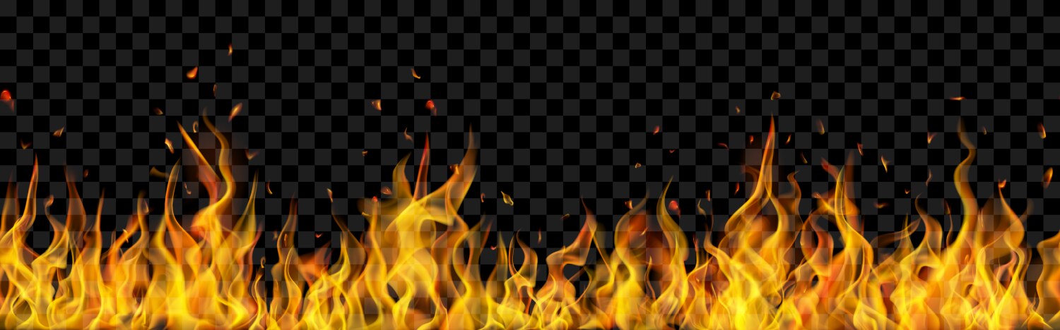 Background fire flames vector image