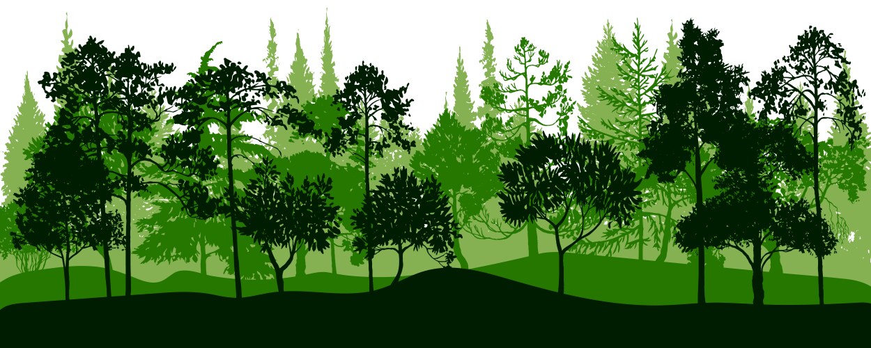 Landscapes with pine trees Royalty Free Vector Image