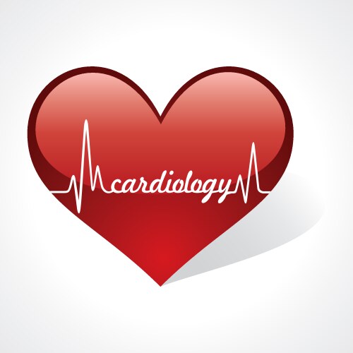 Heartbeat make cardiology word in heart vector image