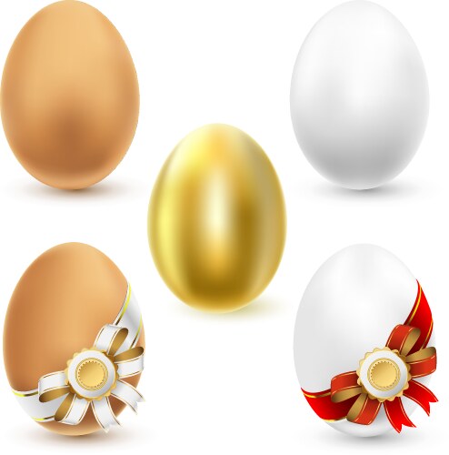 Raw hard boiled fried chicken eggs Royalty Free Vector Image