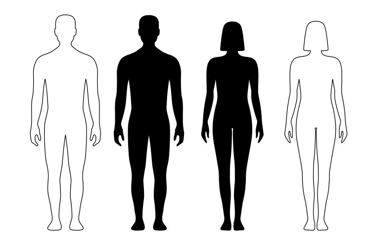 Man and woman human body silhouette outline figure vector image