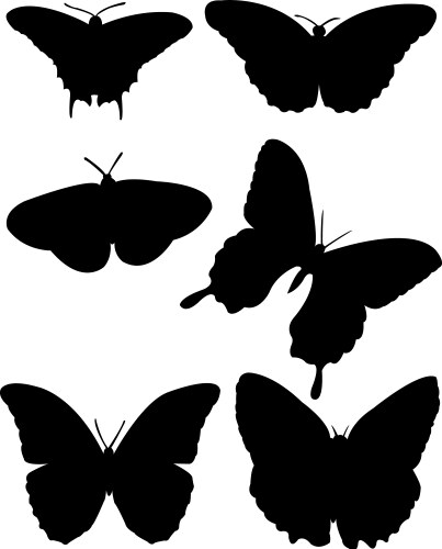 Cuttlebug Vector Bugs 3 Royalty Free Vector Image - VectorStock