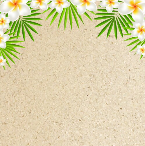 Frangipani Sand Beach Background Vector Image