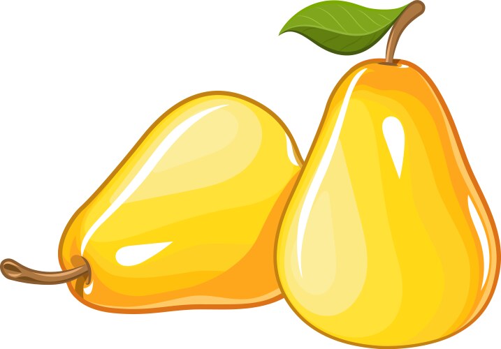 juicy ripe pear vector image