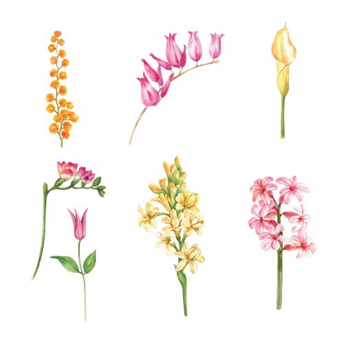 set watercolor flower bud and foliage vector