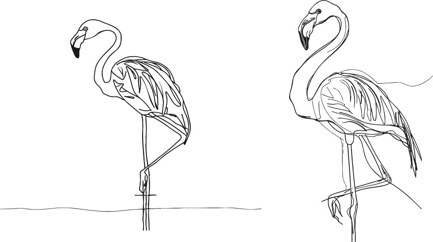 Flamingo staying continuous line drawing vector image