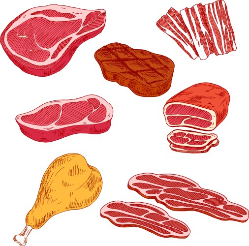 Meat Icons - Beef, Pork, Turkey Vector Image