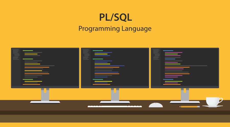 Pl sql programming language code vector image