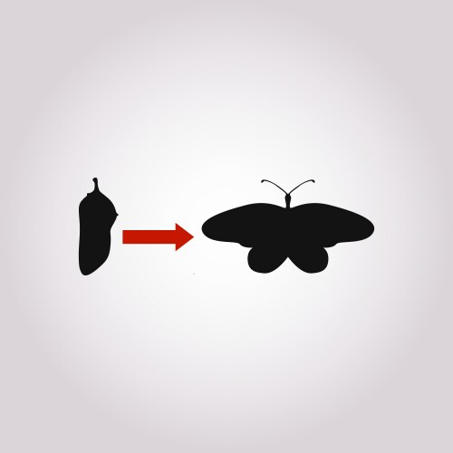 Transformation concept caterpillar butterfly Vector Image