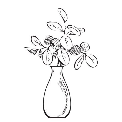 Elegant Branch Bouquet in Vase Vector Image