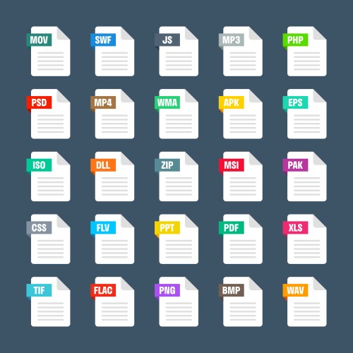 common system file formats document types vector