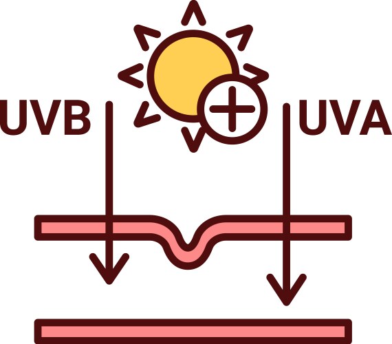 Harmful exposure uva and uvb rays rgb color icon vector image