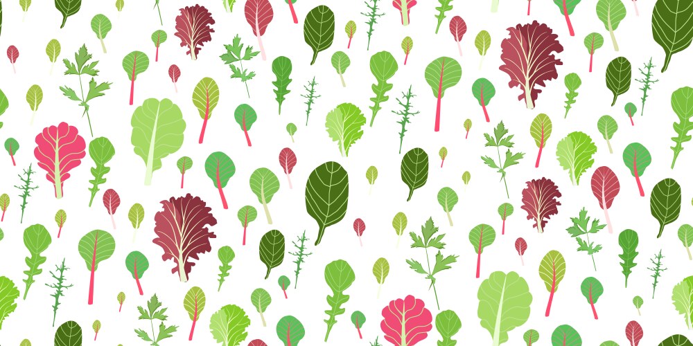 Salad leaf set seamless pattern Royalty Free Vector Image