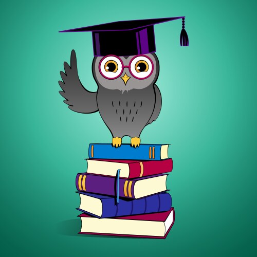 Owl sitting on books Vector Image