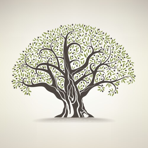Drawn olive tree label oil Royalty Free Vector Image