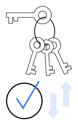 Set of keys with checkmark and arrows representing vector image