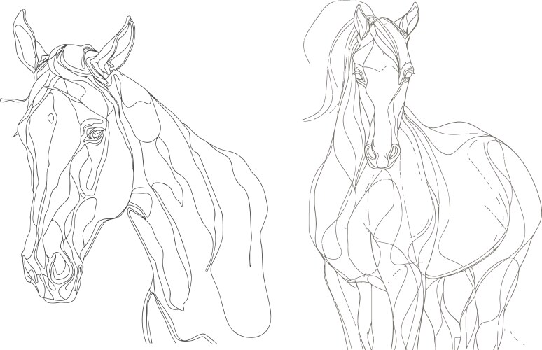 horse one line drawing vector