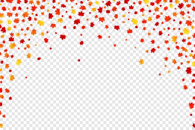 Autumn Leaves Transparent Vector Images (over 2,000)