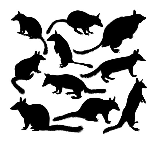 Numbat animal silhouettes Vector Image