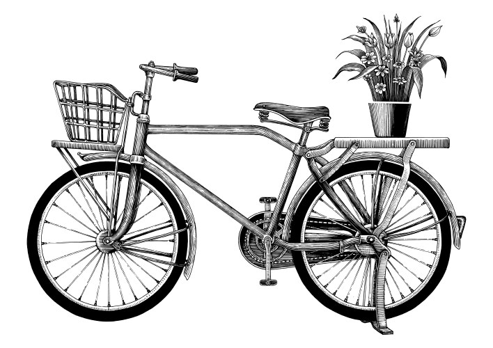 Vintage Bicycle & Flower Pot Drawing Vector Image