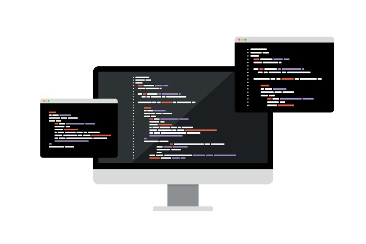 Computer Programming Development vector image