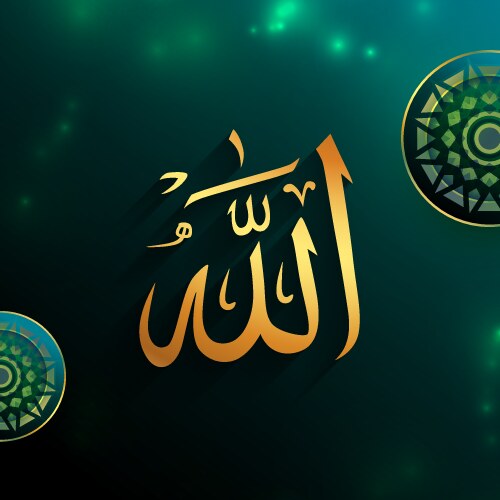 Golden islamic allah calligraphy in heavenly Vector Image