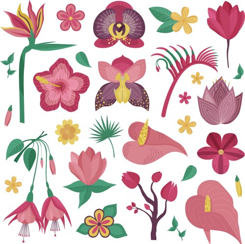 Exotic Tropical Flowers Vector Image